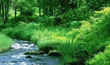 小学作文也精彩（二）