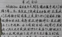 军训记 七年级我的军训作文800字