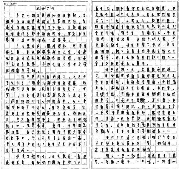 “满分作文”：书 生