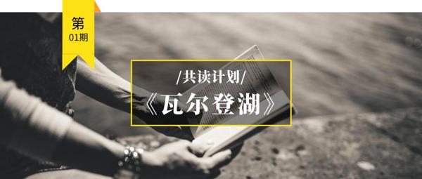 读书札记｜《瓦尔登湖》读后感想精选3篇