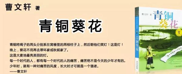 【阅读经典】宾川城中206班李晓雨：温暖相伴之《青铜葵花》读后感 1