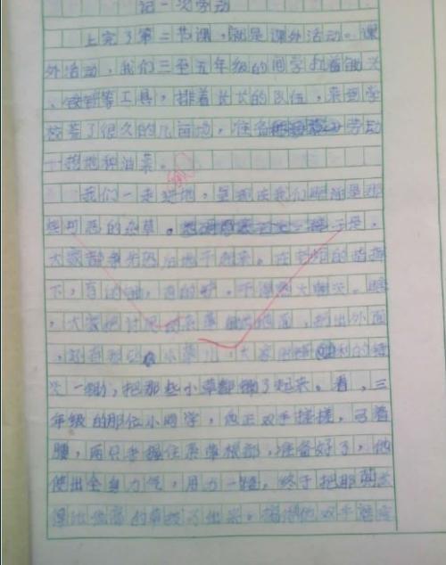 小学六年级作文：田野趣事