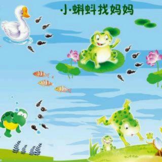 小蝌蚪找妈妈故事