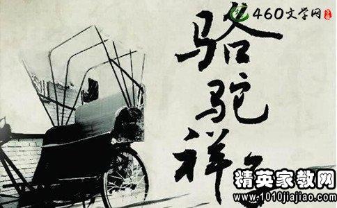 扼杀理想-读《骆驼祥子》有感900字