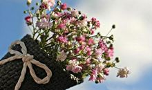 原创 小学生写作文修辞手法用得好，高分作文立收囊中