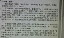 伟大的流浪汉 令我感动的人作文300字