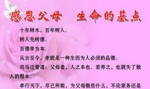 关于感恩的作文：感恩_900字