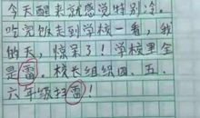 小学生作文《扫雪》写错字，老师直呼：命真大