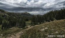 高中生读后感作文：读《荒野的呼唤》有感