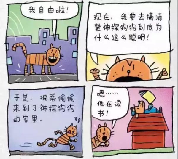 这只狗的足迹遍布中国，小朋友甚至把它写进作文！ 12