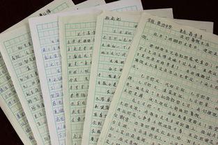 美丽的九寨沟 我的九寨沟之旅作文700字