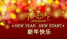 新年的作文200字