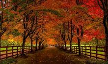 美丽的秋 美丽的秋天作文1100字