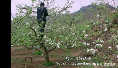 面对国家广电总局给出的命题作文,导演焦波交出了9.3分的答卷 13