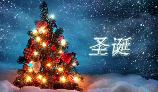 圣诞节的作文700字