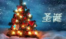 圣诞节的作文700字