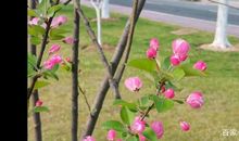 《道德经》天长地久，读后感