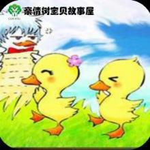 走不动就跑的故事