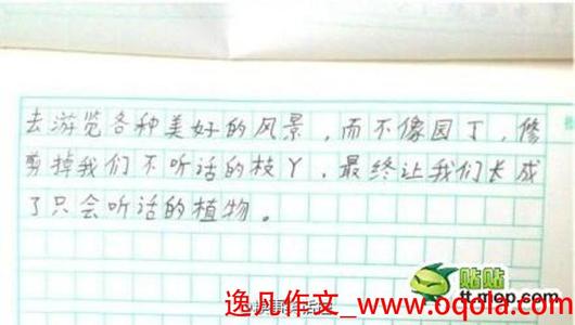 冲刺阶段，作文怎么背？