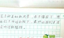 冲刺阶段，作文怎么背？