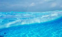 我所有的亲情，都可以化作诗歌，将骨与血化作文字