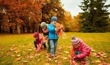 四年级作文：秋天的公园