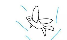 放飞鱼郎 一件有意义的事情300字作文