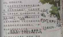 原创 生活万花筒——我教儿子写作文