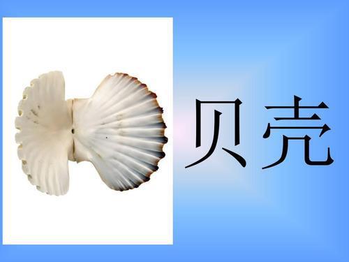 二年级语文单元三测试卷(附答案),作文是亮点 2