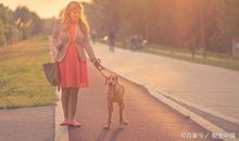 初三作文：还好，并未觉得孤独