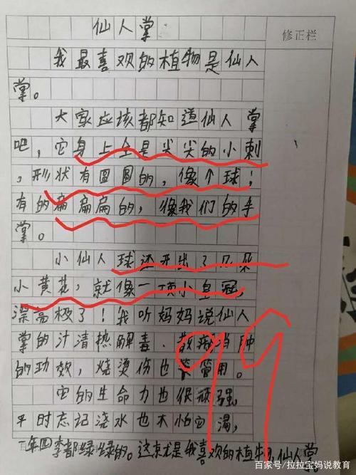 我的植物朋友 小学状物作文200字