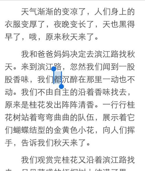 我是哥哥了 小学记叙文300字
