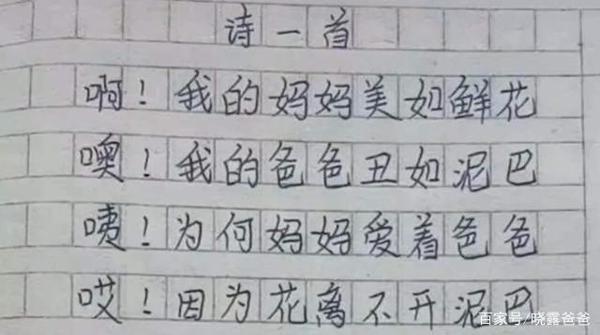 小学生作文《怀孕》火了,老师称其责任感强,网友感叹:萌翻了 1