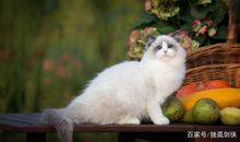 公务员面试89分真题解读：漫画题不就是半命题作文么，怕啥？