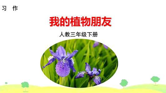 三年级下册第一单元作文：我的植物朋友