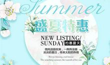 盛夏，盛夏-难忘的夏天作文600字