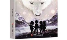 连载四 | 北极焰火&诺粉精彩读后感分享