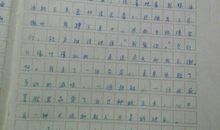 夜-有趣的一件事作文500字