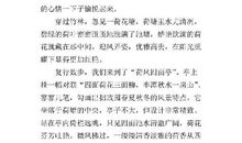 游拙政园 难忘的旅途作文900字