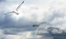 探讨人生的作文：人生的意义