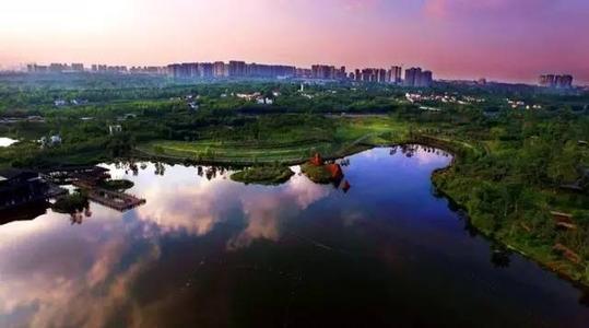 锦江湿地公园 美丽的公园文400字