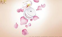 用心看世界，用爱传真情 《小王子》读后感600字