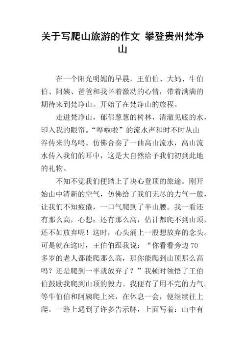 登梵净山 让我难忘的一次爬山作文400字