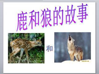 鹿和狼的故事教学实录