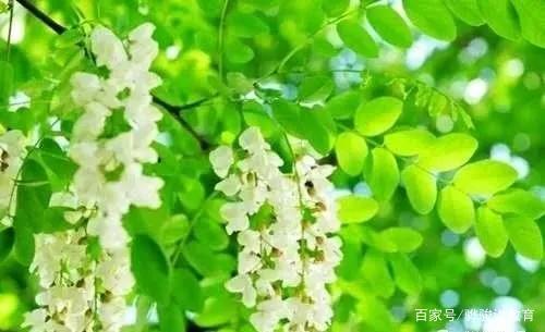 高考作文预测,优秀作文点评:《不必记住我是谁》 4
