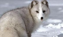 大个子欺负人要不得作文450字