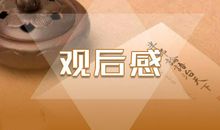 致敬英雄 《英雄之城》观后感500字