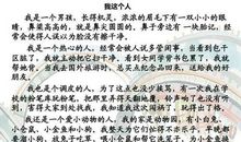 我这个人呀500字作文