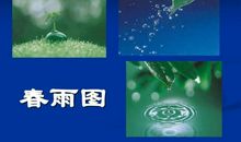 雨 四季的雨散文400字