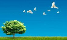 难忘的感冒药作文